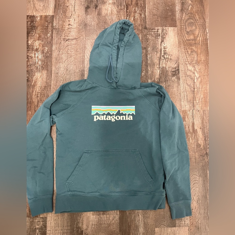 Patagonia Organic Cotton Teal Sweatshirt